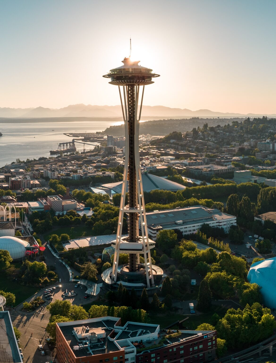 Home. Paragon Real Estate Advisors